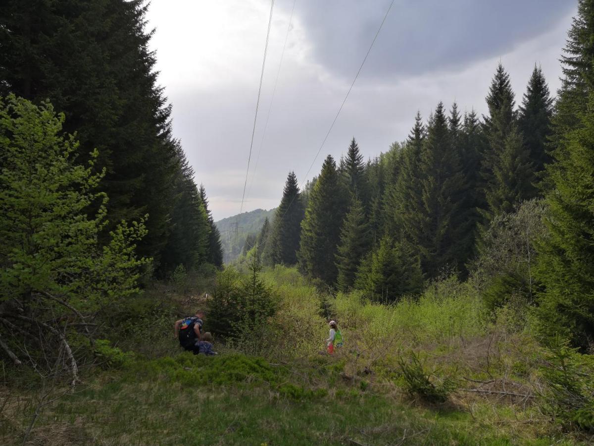 Sky Cabin Apartments Kopaonik Exterior foto